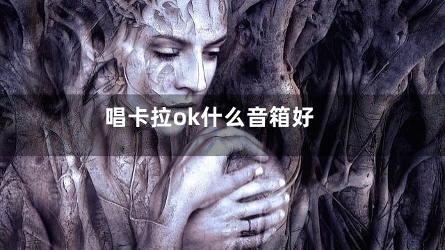 唱卡拉ok什么音箱好