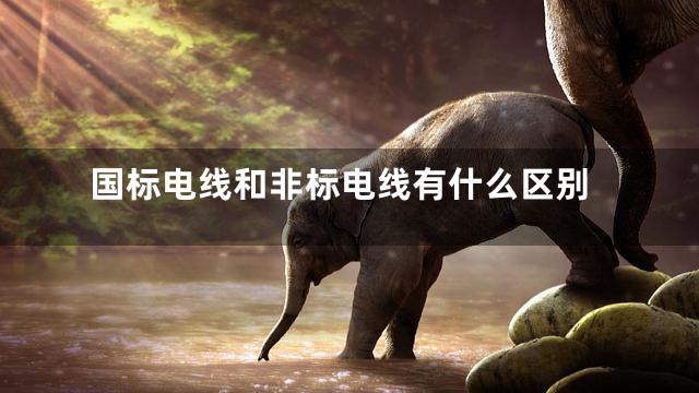 国标电线和非标电线有什么区别