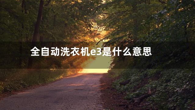 全自动洗衣机e3是什么意思