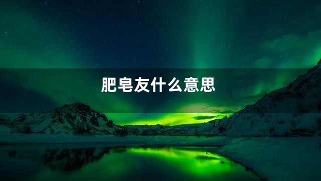 肥皂友什么意思