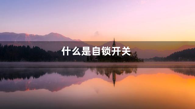 什么是自锁开关