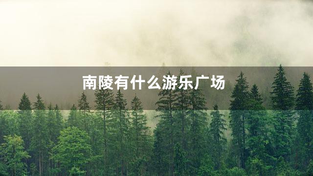 南陵有什么游乐广场