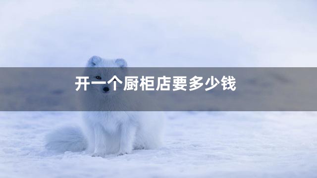 开一个厨柜店要多少钱