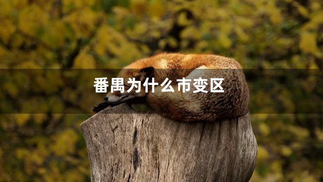 番禺为什么市变区