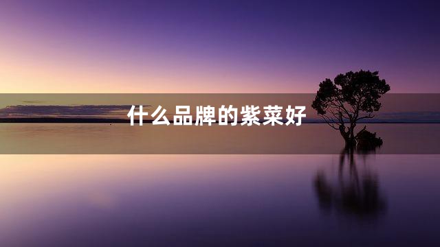 什么品牌的紫菜好