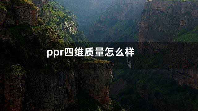 ppr四维质量怎么样