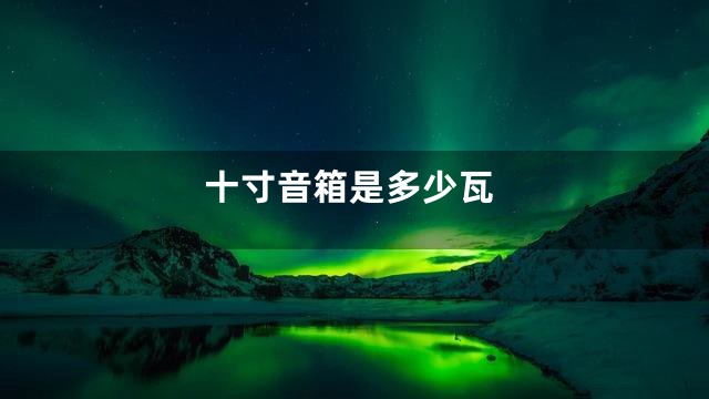 十寸音箱是多少瓦