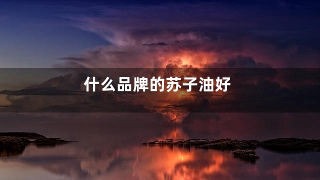 什么品牌的苏子油好