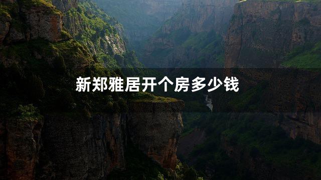 新郑雅居开个房多少钱