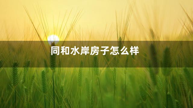 同和水岸房子怎么样