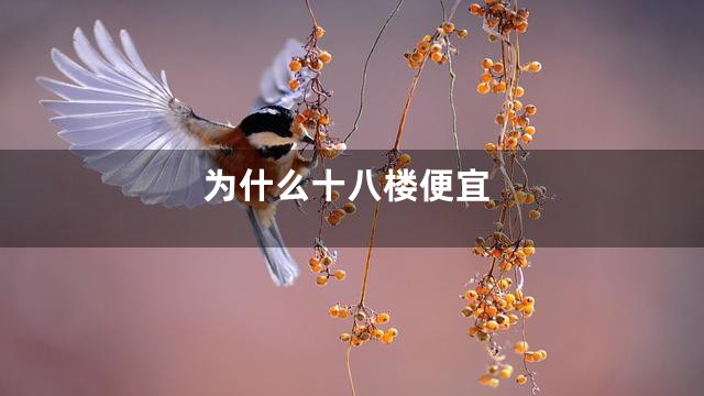 为什么十八楼便宜