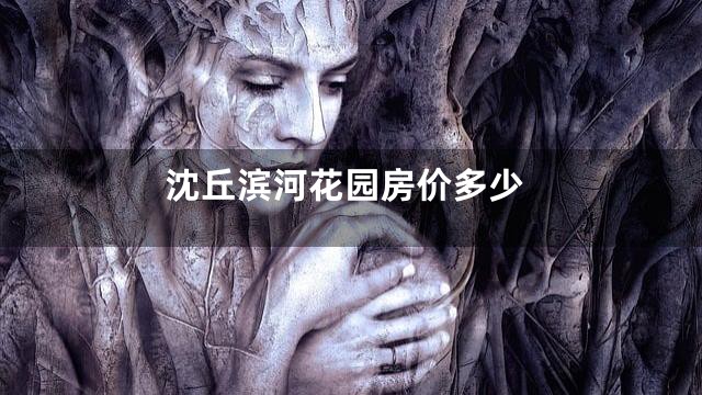 沈丘滨河花园房价多少