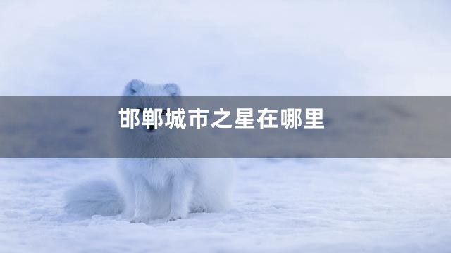 邯郸城市之星在哪里