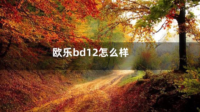 欧乐bd12怎么样