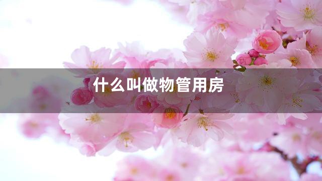 什么叫做物管用房