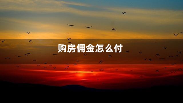 购房佣金怎么付