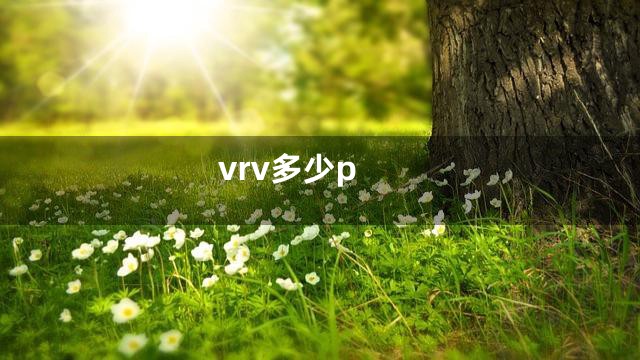 vrv多少p