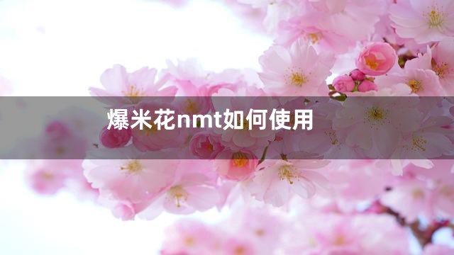 爆米花nmt如何使用