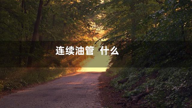 连续油管  什么