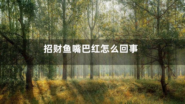 招财鱼嘴巴红怎么回事