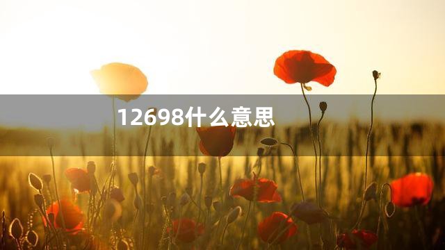 12698什么意思