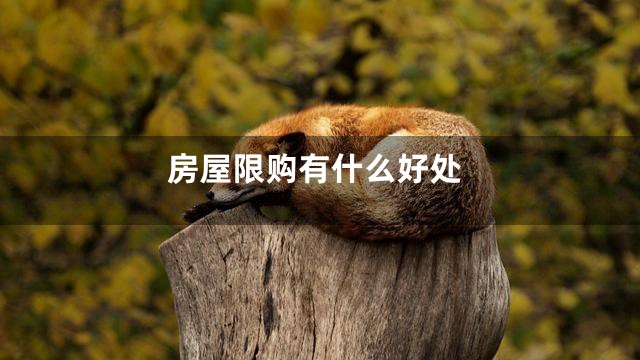 房屋限购有什么好处