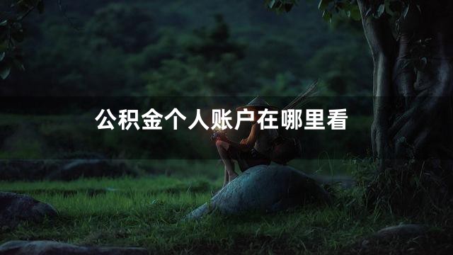 公积金个人账户在哪里看