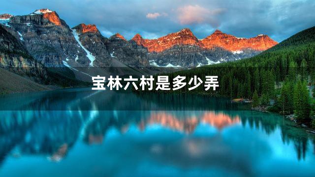 宝林六村是多少弄