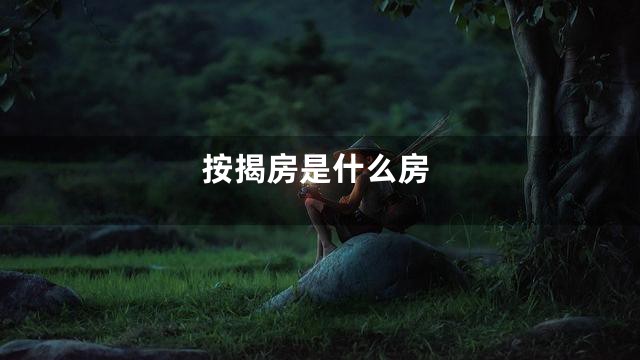 按揭房是什么房