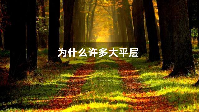 为什么许多大平层