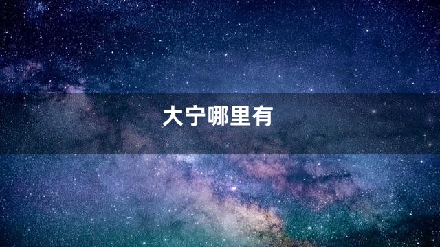 大宁哪里有