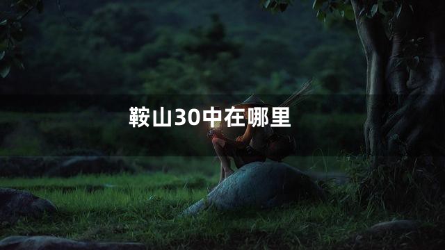 鞍山30中在哪里