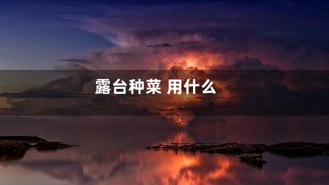 露台种菜 用什么