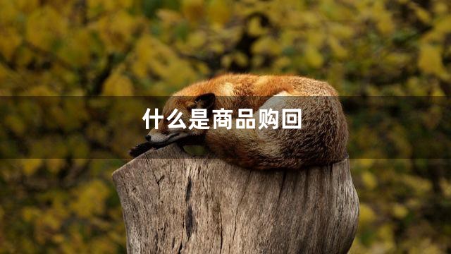什么是商品购回
