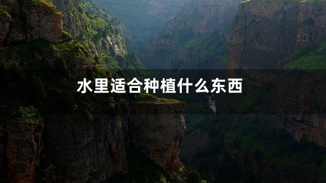 水里适合种植什么东西