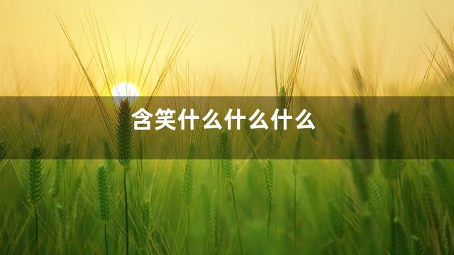 含笑什么什么什么