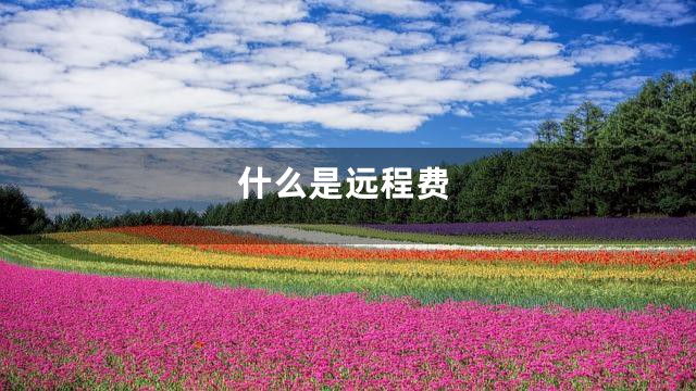 什么是远程费