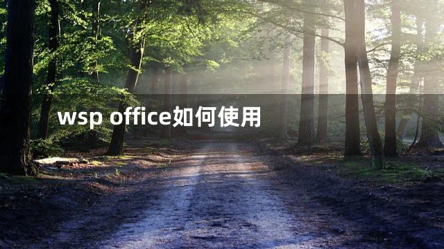 wsp office如何使用