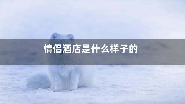 情侣酒店是什么样子的