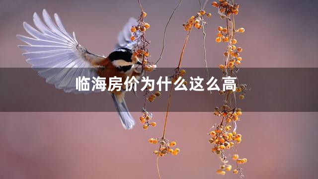 临海房价为什么这么高
