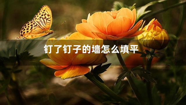 钉了钉子的墙怎么填平