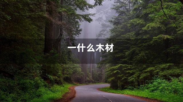 一什么木材