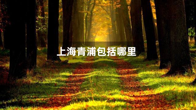 上海青浦包括哪里