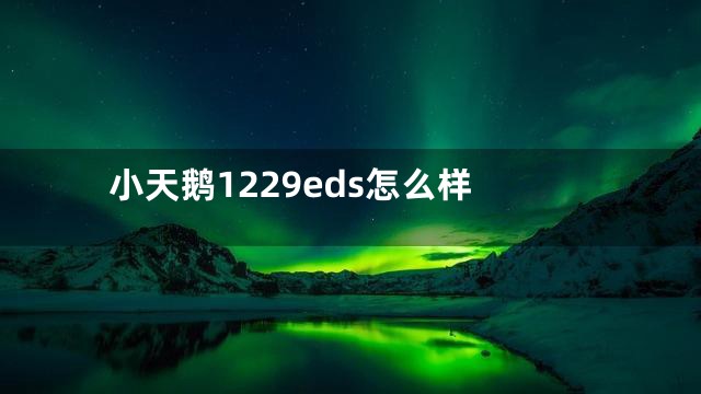 小天鹅1229eds怎么样