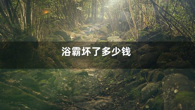 浴霸坏了多少钱