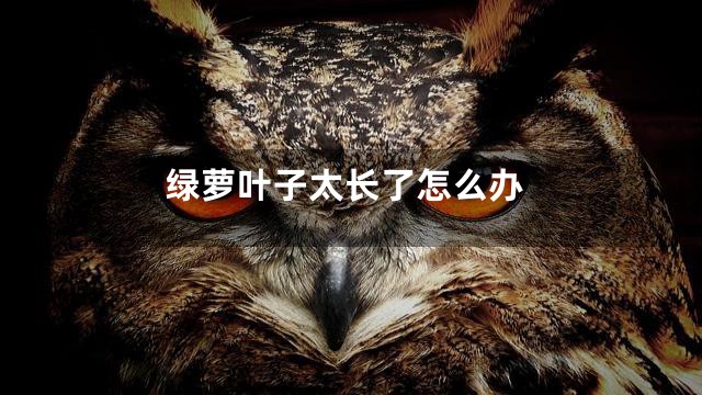 绿萝叶子太长了怎么办