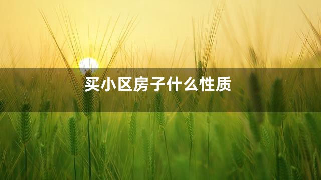 买小区房子什么性质