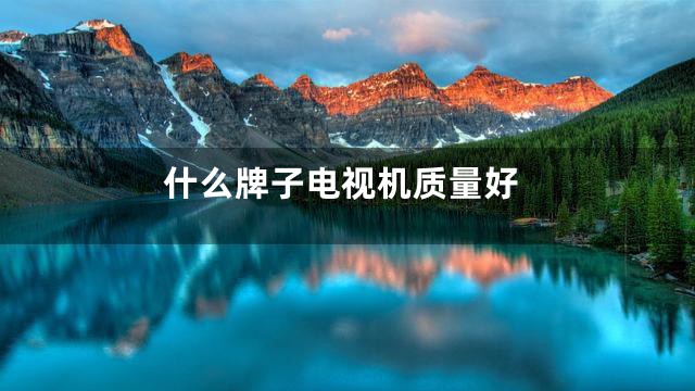 什么牌子电视机质量好