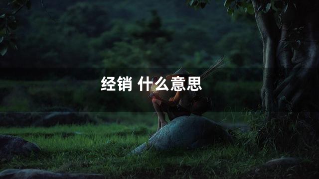 经销 什么意思