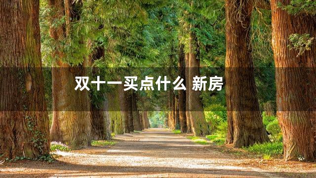 双十一买点什么 新房